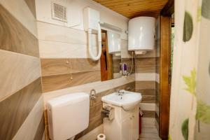 a small bathroom with a toilet and a sink at Kraljevsko selo Kotromanićevo in Doboj