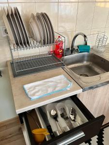 a kitchen counter with a sink and a dish rack at Wohnung 18 in Lutherstadt Eisleben