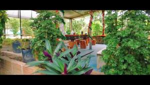 eine Terrasse mit einem Tisch und einer Pflanze im Garten in der Unterkunft Hotel Tari in Mocoa