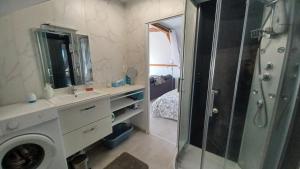 bagno con doccia, lavandino e specchio di L'appel de la foret a Lyons-la-Forêt