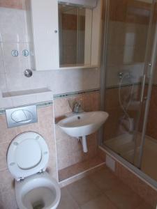 Koupelna v ubytování A1 tončev apartman