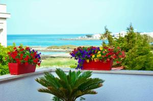 Táj Show holiday homes közelében