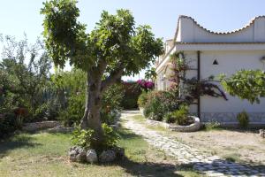 a tree in the yard of a house at Oasi Beach Hotel in Vieste