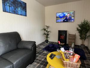 a living room with a couch and a tv at Pine Boutique Lodge with hot tub for couples & dog in York