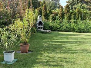 Balaton Apartman Füred في بالاتونفوريد: حديقة بها اثنين من النباتات الفخارية وبيت الطيور