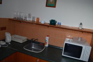 Kuchyň nebo kuchyňský kout v ubytování Hotel u Kapra