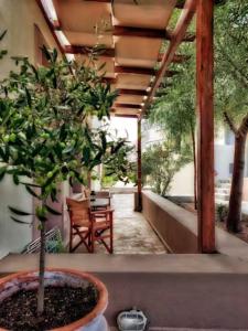 a potted tree in a pot on a patio at Oinoni's Home - ACHILLES studio in Souvala