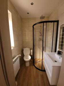 een badkamer met een toilet, een douche en een wastafel bij Apartamenty u Hanysa in Niechorze
