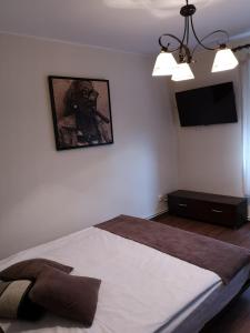 a bedroom with a large bed and a flat screen tv at APARTAMENT AUTENTIC RESIDENCE in Predeal