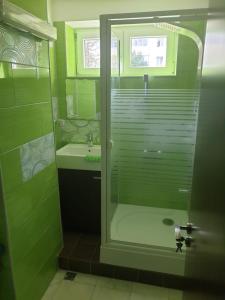 a bathroom with a glass shower and a sink at APARTAMENT AUTENTIC RESIDENCE in Predeal