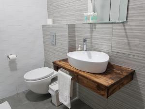 a bathroom with a white sink and a toilet at Airport Guest House in Or Yehuda