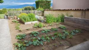 Garden sa labas ng Chambre Génissieux, vue sur Vercors