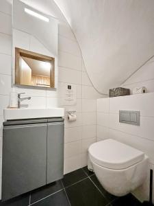 een badkamer met een toilet en een wastafel bij Mirador Lodge - Crans Montana - Swiss Alps in Crans-Montana