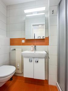 ein Badezimmer mit einem weißen Waschbecken und einem WC in der Unterkunft Mon Pied à Terre à Crans-Montana in Crans-Montana