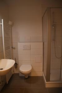 a bathroom with a toilet and a sink and a shower at Gasthaus Reinhardt in Alfeld