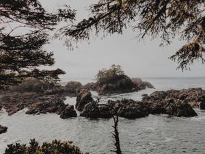 a view of the ocean through the trees at Winter's Hideaway Suite in Ucluelet