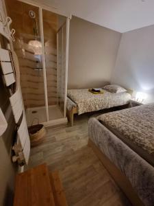 a small bedroom with two beds and a shower at Petit cocon quartier historique Chaumont in Chaumont