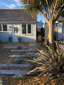 un patio trasero con una palmera y una casa en The Bolthole, en South Hayling