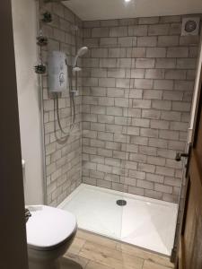 ein Bad mit einer Dusche und einem WC in der Unterkunft The Bolthole in South Hayling
