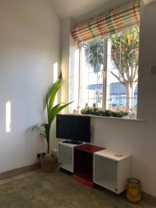 a living room with a tv and a window at The Bolthole in South Hayling