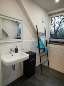 a bathroom with a sink and a mirror and a ladder at Ferienwohnung Meta Fischerhude in Ottersberg