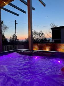 een hot tub met paarse verlichting in een tuin bij Felix House Siófok in Siófok