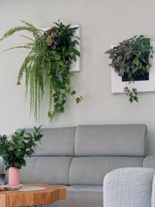 a living room with a couch and plants on the wall at Luna House & Cowork in Cascais