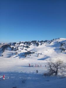 een groep mensen die skiën op een besneeuwde helling bij Le paradis des Habères in Habère-Poche