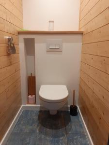 - une salle de bains avec toilettes dans une chambre dotée de murs en bois dans l'établissement Gîte de Peyrinet, à Notre-Dame-de-Sanilhac