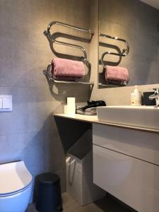 La salle de bains est pourvue d'un lavabo et de toilettes. dans l'établissement Nida Four Seasons, à Nido