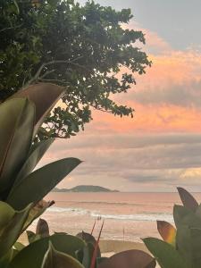 - Vistas a la playa al atardecer en Aluguel temporada, en Florianópolis