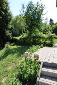 un jardin avec des plantes et une passerelle dans l'établissement Agroturystyka u Babci, à Czchów