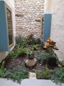 Zahrada ubytování Hotel Pepen