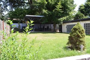 Zahrada ubytování Ferienwohnung Jungbär - Die Wohlfühl-Adresse im Stangenwald