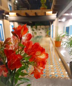 un vase rempli de fleurs rouges sur une table dans l'établissement Hotel Pepen, à San Cristóbal de Las Casas