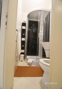 a small bathroom with a toilet and a shower at All My Loving in Rovinj