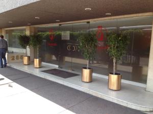 una fila di alberi in vaso di fronte a un negozio di Hotel Mexicali a Città del Messico