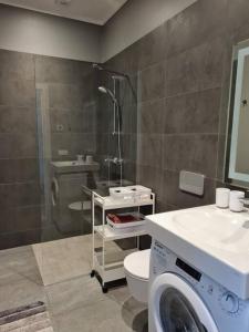een badkamer met een wasmachine en een toilet bij Seaside Apartment "Sunrise" with terrace in Ķesterciems, Albatross in Ķesterciems