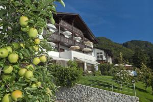 Zahrada ubytování Pension Riedingerhof