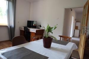 a potted plant sitting on a table in a room at Agroturystyka u Babci in Czchów