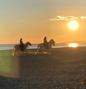 three people riding horses on the beach at sunset at Etoile dorée, vue mer, plage, clim, commerces, 3 étoiles in La Grande Motte
