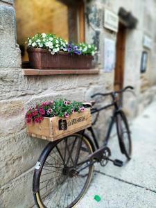 un vélo garé à côté d'un bâtiment avec des fleurs dans un panier dans l'établissement Can Marisa, à La Fresneda