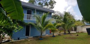 een blauw huis met palmbomen ervoor bij LodgeFabi'sPlace in San Andrés
