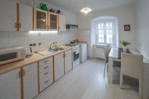 Köök või kööginurk majutusasutuses Apartmá u Baštů