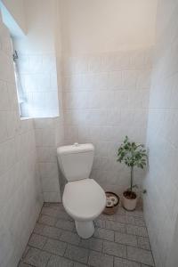 Vannituba majutusasutuses Apartmá u Baštů