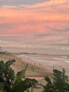 un grupo de personas en la playa al atardecer en Aluguel temporada, en Florianópolis