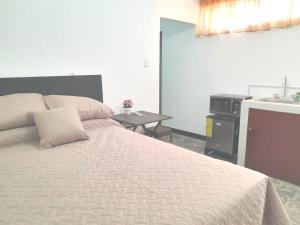 1 dormitorio con cama, escritorio y lavamanos en Apartamento Via 7, en Guatemala