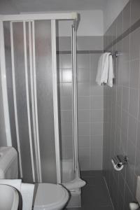 Garni Bar Sport في منديريسو: حمام مع دش مع مرحاض ومغسلة