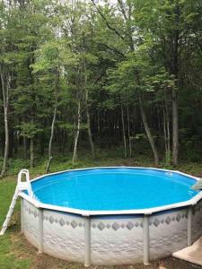Long Pond的住宿－Secluded Pocono Home with Hot tub & Sauna，森林中央的游泳池