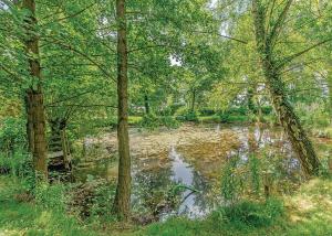 レッドベリーにあるWoodside Lodges Country Parkの木々の茂る森の中の池